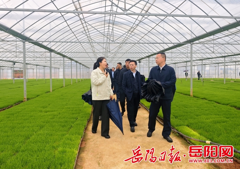 1314581511750444.jpg d79394852425a1e43179bb56640b9d1d.jpg